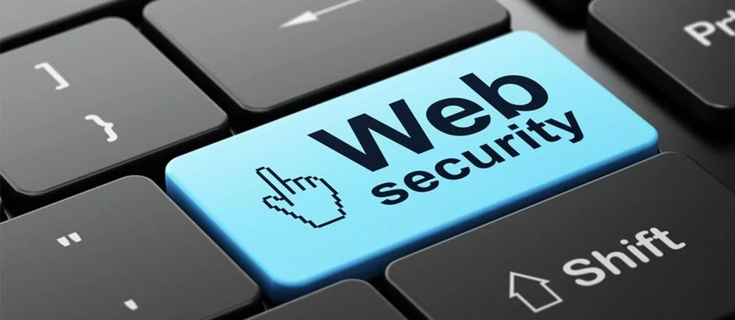 website/web app security