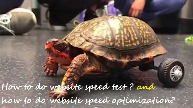 website speed test