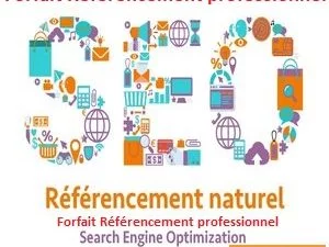 Forfait Référencement professionnel